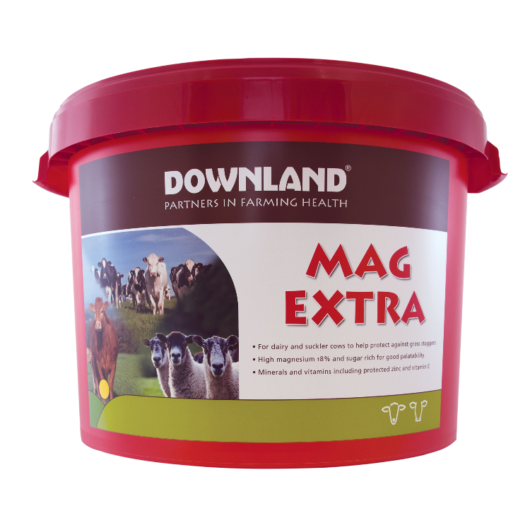Downland Mag Extra