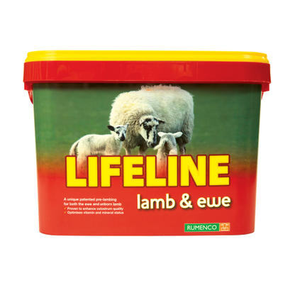 Lifeline Lamb & Ewe