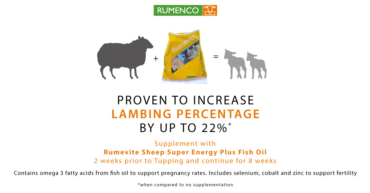 Rumenco Rumevite Sheep Super Energy Plus Fish Oil